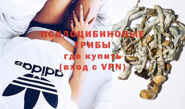 гидра Аркадак