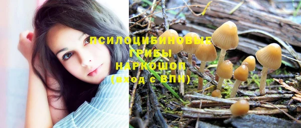 гидра Аркадак