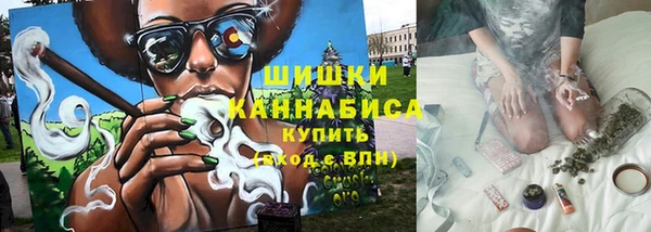 гидра Аркадак